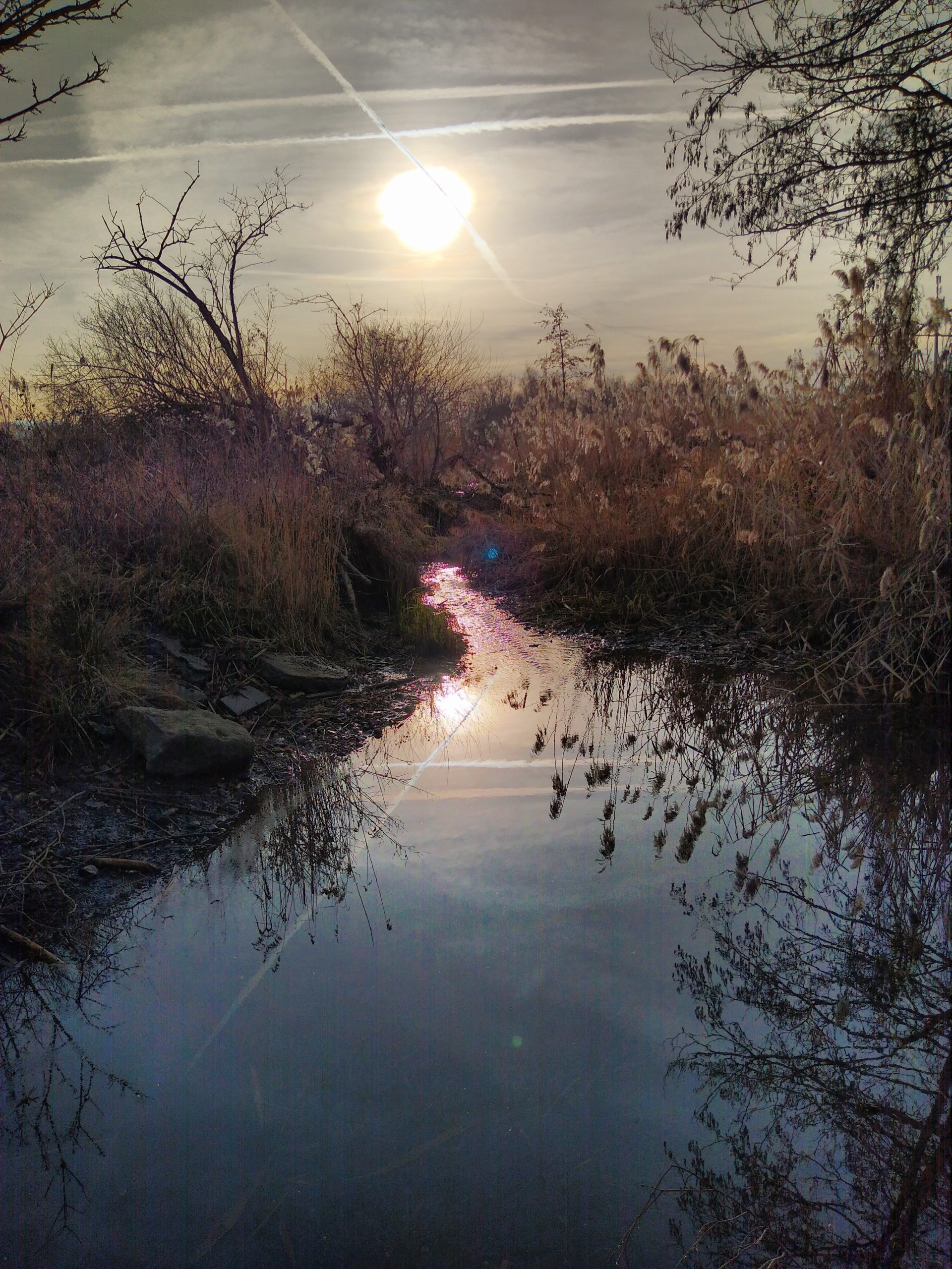 Die Gleißach, kurz vor dem Bachsammler, Foto: Martin Carstensen