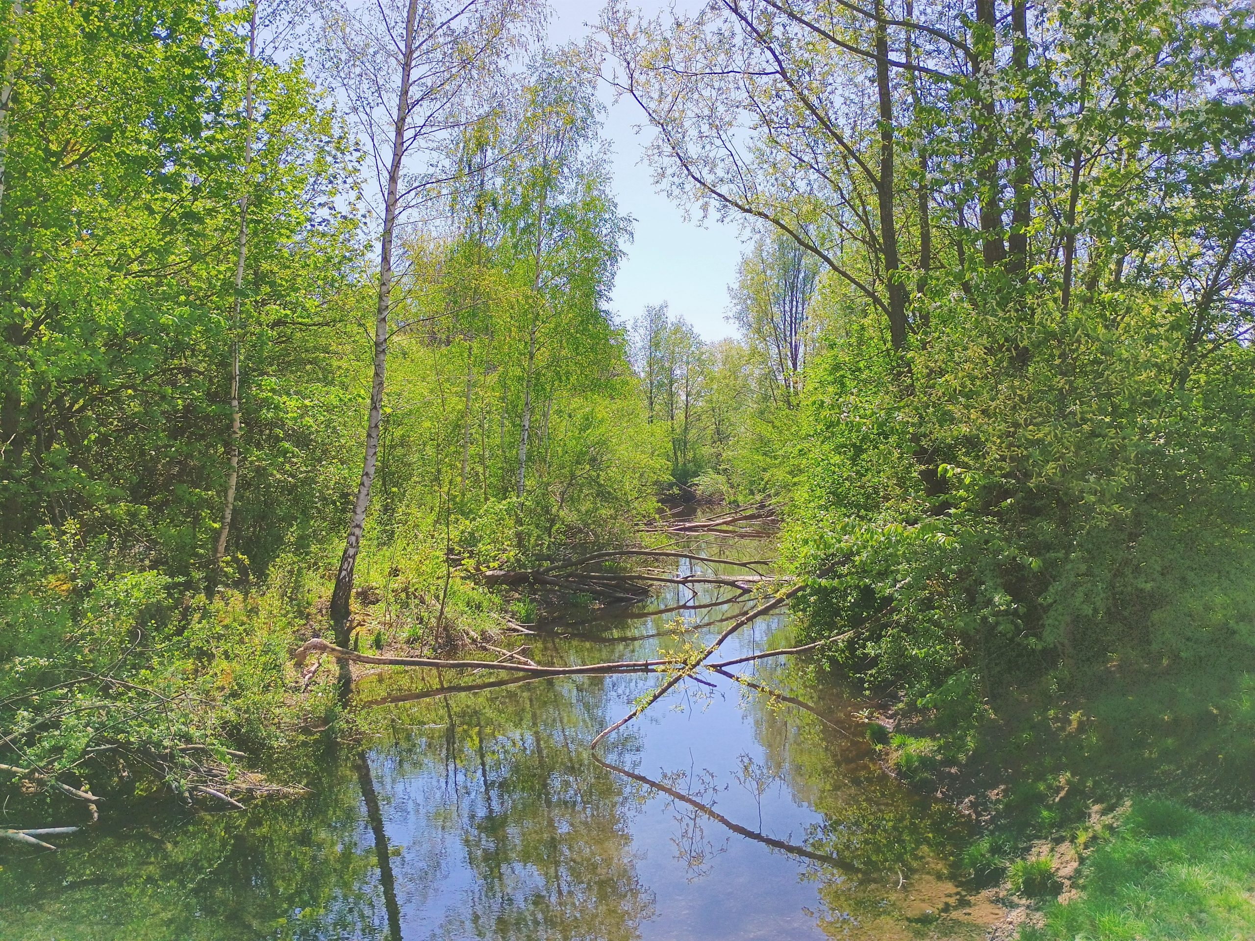 Hüllgraben Daglfing, Foto: Martin Carstensen