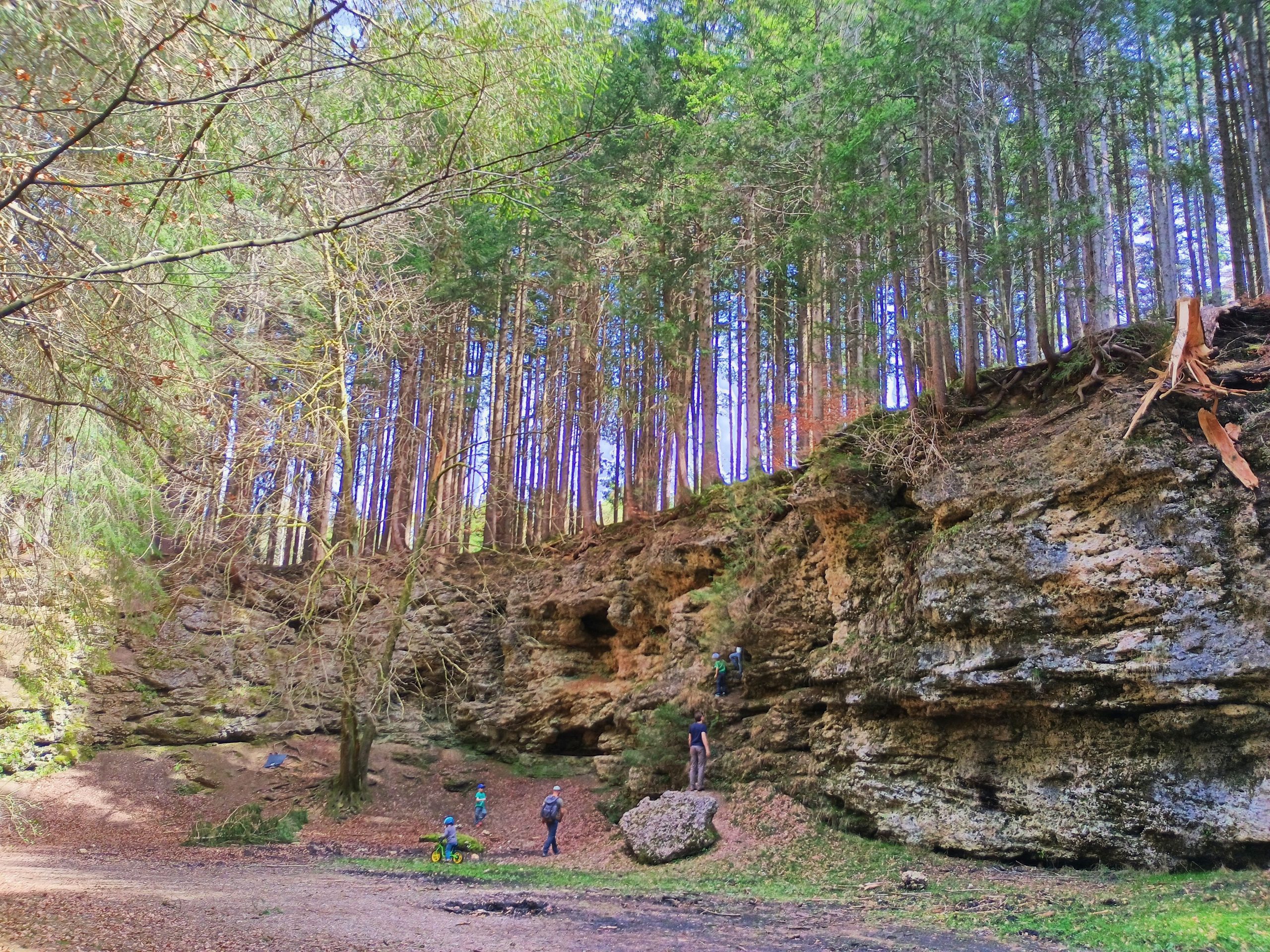 Hachinger Bach in Furth, Foto: Martin Carstensen