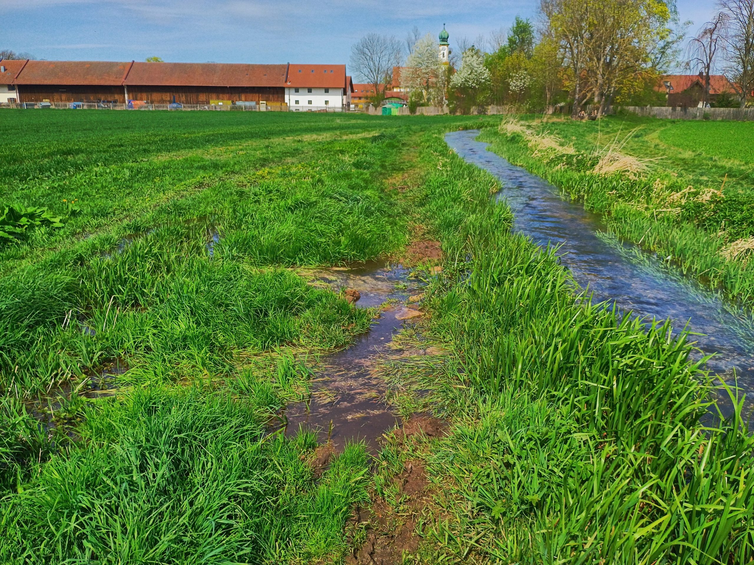 Hachinger Bach vor Unterbiberg, Foto: Martin Carstensen