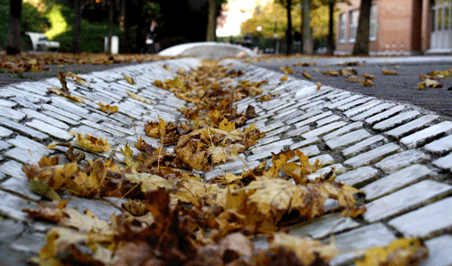 Foto: Florian Pedarnig, 2008