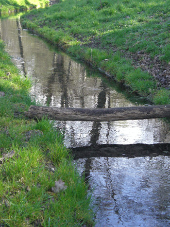 An der Brunnbachleite in Bogenhausen-Herzogpark; © dietlind pedarnig, 2008