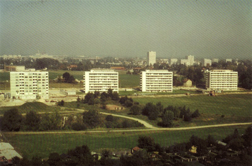 Denninger Anger um 1962, aus: "Die Parkstadt Bogenhausen in München", hrsg. v. Roland Krack