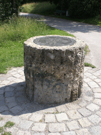 Rosette im Westteil Denninger Anger, © dietlind pedarnig (2007)