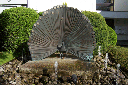 Radschlagender Pfau, hpt © Verein für Stadtteilkultur im Münchner Nordosten e.V., 2008