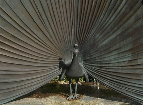 Radschlagender Pfau, hpt © Verein für Stadtteilkultur im Münchner Nordosten e.V., 2008