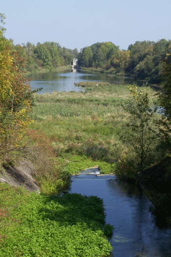 Der renaturierte Hüllgraben. hpt © Verein für Stadtteilkultur im Münchner Nordosten e.V.