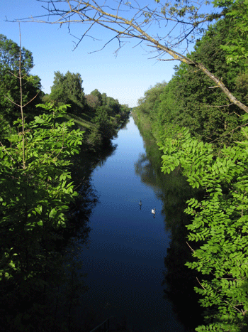 Hüllgraben im Moosgrund. © Verein für Stadtteilkultur im Münchner Nordosten e.V.