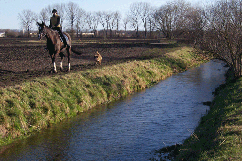 Auffanggraben. hpt © Verein für Stadtteilkultur im Münchner Nordosten e.V.