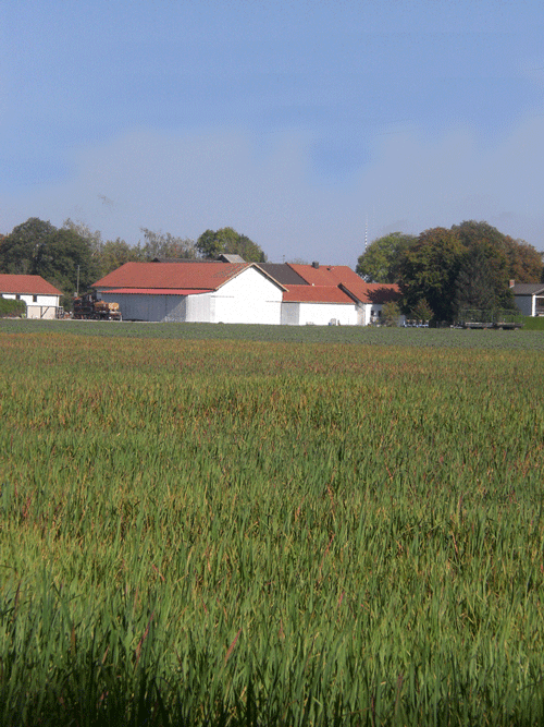 Blick auf die Rückseite des "Proßer Hofes", dahinter der Maibaum