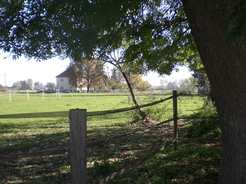 Kunihohstraße 28
Hier stand bis 1856 das Hirten-Gemeindehaus (Haus-Nr. 10), das - entsprechend seinem Namen - die Gemeindehirten von Daglfing beherbergte. Dann verkaufte die Gemeinde das Anwesen und erwarb an dessen Stelle die Sölde "Angermaier", in der Kunihohstraße 13 (abgebrochen 1966, heute Firma Kieffer), als neues Gemeindehaus. Der Kastenbauer erwarb das ehemalige Hirtenhaus und baute es in einen Getreidekasten um. Im Jahre 1825 errichtete sich der Zimmermann Georg Heinzel auf Gemeindegrund (neben dem alten Gemeindehaus) ein neues Haus mit dem Namen "beim Zimmergörgl".