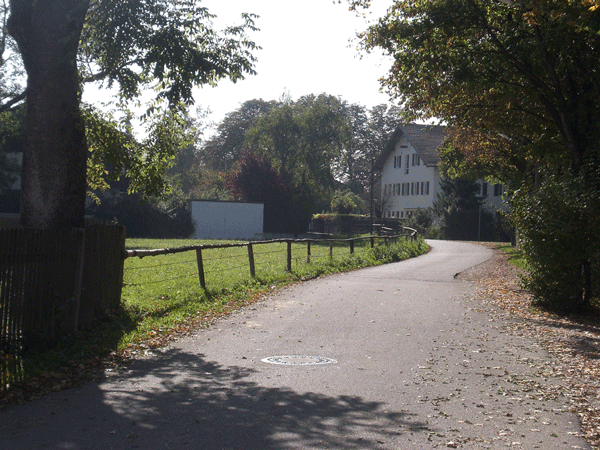 Blick auf den "Proßer Hof", Kohlbrennerstraße 5
Um 1600 lautete der Hausname "beim Hörl", nach einem alten Bauerngeschlecht in der Grafschaft Ismaning. 
1640 brannte das Anwesen durch Blitzschlag ab, der Besitzer wanderte aus. 1698 brannte es erneut nieder. 
Seit 1829 ist der Hof in Besitz der Familie Lechner.
