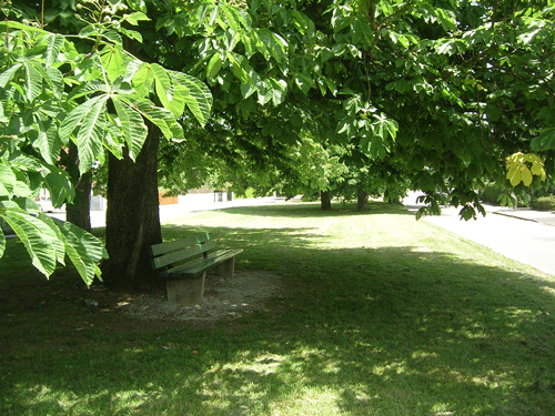 Parkanlage am Posener Platz (2007) © Verein für Stadtteilkultur im Münchner Nordosten e.V.