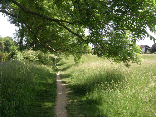 Weg in der Nähe des ÖBZ