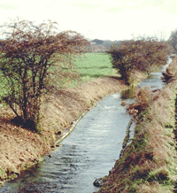 Hüllgraben, hpt © Verein für Stadtteilkultur im Münchner Nordosten e.V.