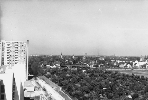 Kleingartenanlage Schreberweg um 1959