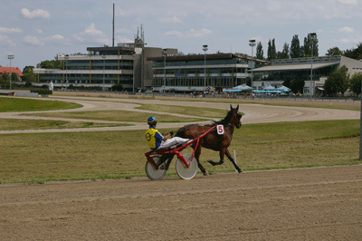 Die Daglfinger Trabrennbahn 2007, Foto: hpt © Verein für Stadtteilkultur im Münchner Nordosten e.V., 2007