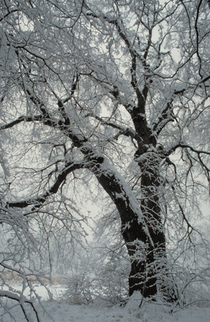 © Verein für Stadtteilkultur im Münchner Nordosten e.V.