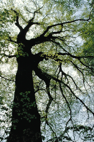 © Verein für Stadtteilkultur im Münchner Nordosten e.V.