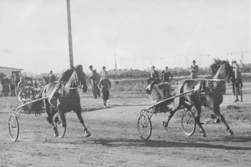 »Preis der Besten«, (Zuchtrennen) am 5. Oktober 1947, © Archiv des Trabrennvereins Daglfing. Gewinner: »Kampfflieger«, ein sechsjähriger Hengst, Fahrer: Johannes »Hänschen« Frömming auf »Kampfflieger«.
