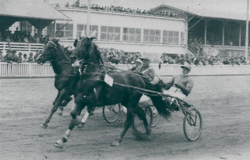 Die Traber vor dem 1934 erbauten sogenannten Teehaus zwischen den beiden Tribünen, © Archiv des Trabrennvereins Daglfing