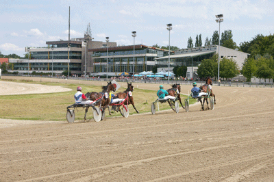 Trabrennbahn Daglfing 2008; hpt, © Verein für Stadtteilkultur im Münchner Nordosten e.V.