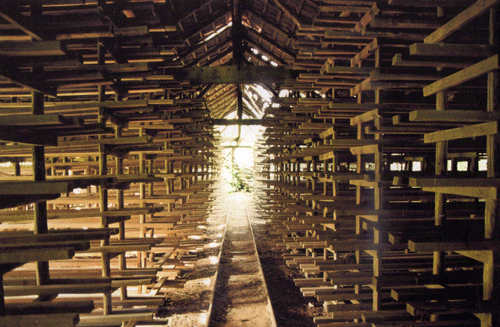 Trockenstädel in der Ziegelei Deck Oberföhring, Foto Camilla Kraus