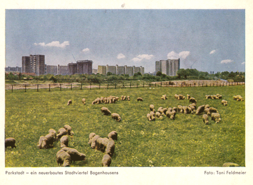 Blick auf den zukünftigen Baugrund von St. Rita in den 1960er-Jahren. Im Hintergrund die neue Parkstadt Bogenhausen © privat