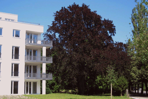 Wohnanlage an der Englschalkinger Straße 221, hpt © Verein für Stadtteilkultur im Münchner Nordosten e.V., 2012