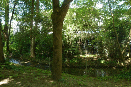 Brunnbach 2019; hpt © Verein für Stadtteilkultur im Münchner Nordosten e.V.