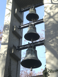 dietlind pedarnig, 2007