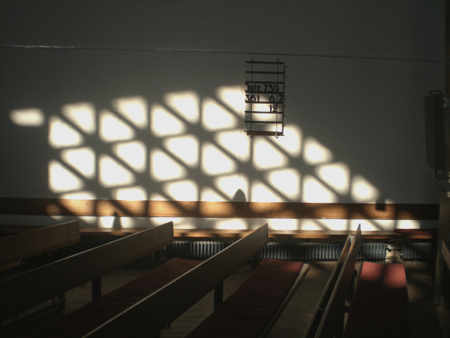 dietlind pedarnig, 2007