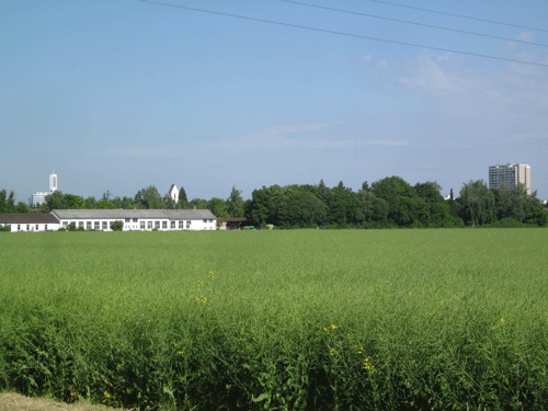 Kolonie an der Daglfinger Straße neuer Anbau