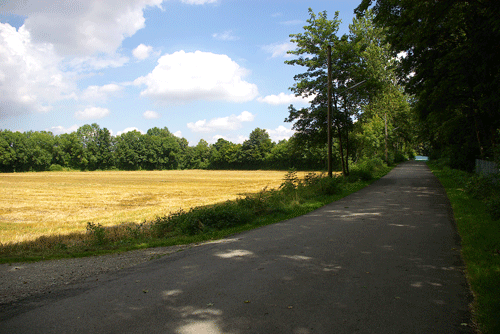 An der Salzbrücke, ehemals Gelände der Ziegelei Sedlmair, Oberföhring, hpt © Verein für Stadtteilkultur im Münchner Nordosten e.V., 2008