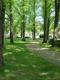 der alte Baumbestand des Shakespeareplatzes im Herbst und im Frühjahr © dietlind pedarnig 2008