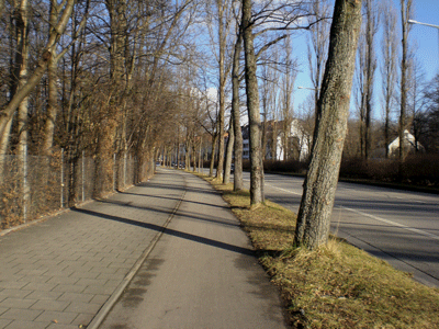 die Englschalkinger Straße mit Blick Richtung Denning, 2007 © Dietlind Pedarnig