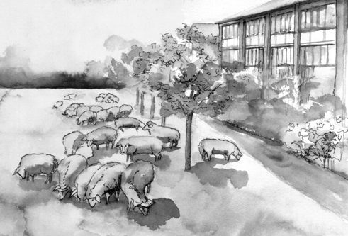 Karin Bernst, "In der Gartenstadt Johanneskirchen, Am Eschbichl, 1989.