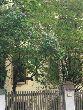 heute idyllisch anmutend: das »Judenhaus« der Klara Herz, Möhlstraße 30, im Frühjahr 2008; © dietlind pedarnig