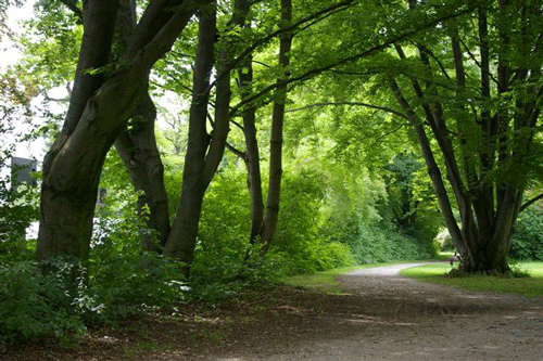 Pachmayrplatz Fotos: hpt © Verein für Stadtteilkultur im Münchner Nordosten e.V.