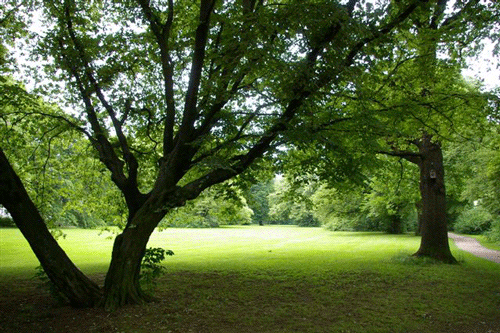 Pachmayrplatz Fotos: hpt © Verein für Stadtteilkultur im Münchner Nordosten e.V.