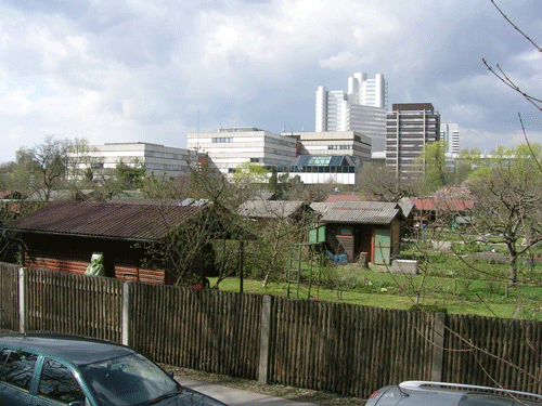 die Kleingartenanlage NO 3, dahinter die Hochhäuser des Arabellaparks. (Foto: hpt © Verein für Stadtteilkultur im Münchner Nordosten e.V., 2006)