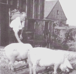 Kleintierhaltung in der Siedlung Steinhausen in den 30iger Jahren. Quelle: Buchscan aus der Festschrift "70 Jahre Siedlung München-Steinhausen", München 2002.