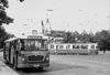 Bildergalerie historischer Omnibusse: Archiv Omnibus-Club München e.V.