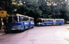 Bildergalerie historischer Omnibusse: Archiv Omnibus-Club München e.V.