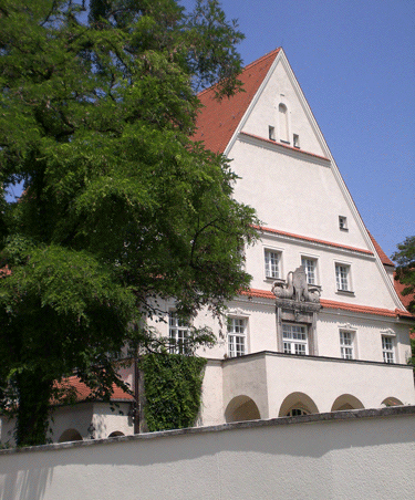 Die Lauer"-Villa von der Neuberghauserstraße aus gesehen © dietlind pedarnig (2008)
