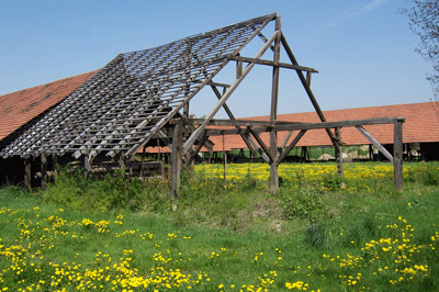 Ziegeleisterben